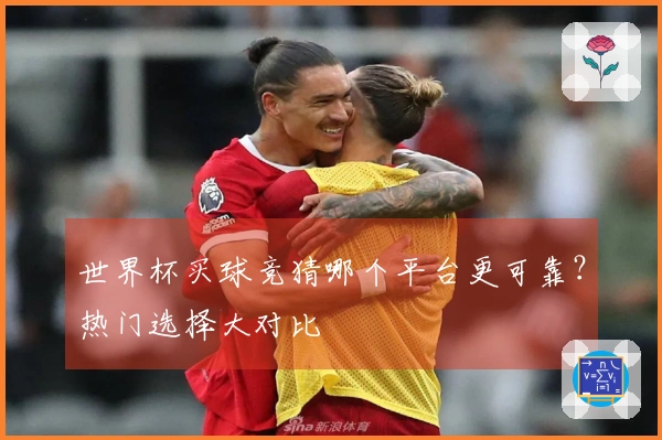 世界杯买球竞猜哪个平台更可靠？热门选择大对比