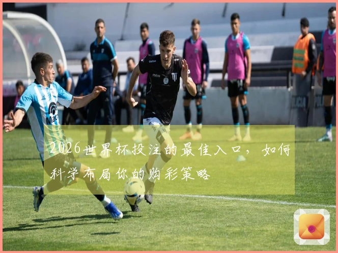 2026世界杯投注的最佳入口，如何科学布局你的购彩策略