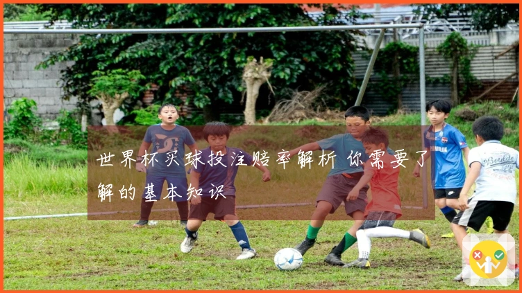 世界杯买球投注赔率解析 你需要了解的基本知识
