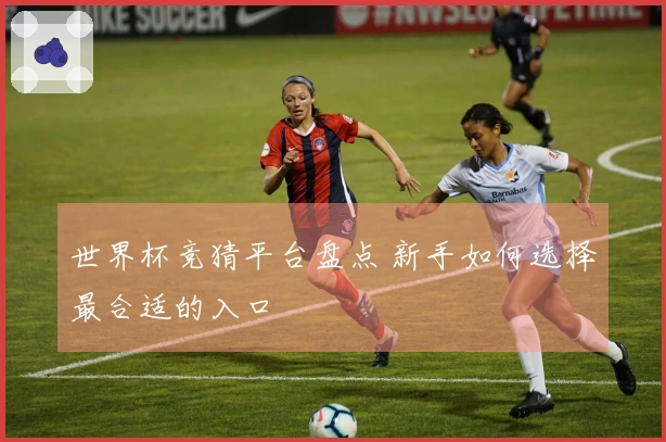 世界杯竞猜平台盘点 新手如何选择最合适的入口