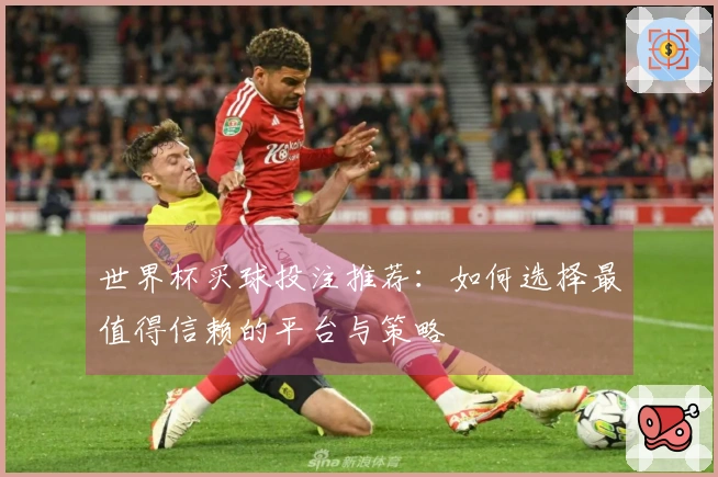 世界杯买球投注推荐：如何选择最值得信赖的平台与策略