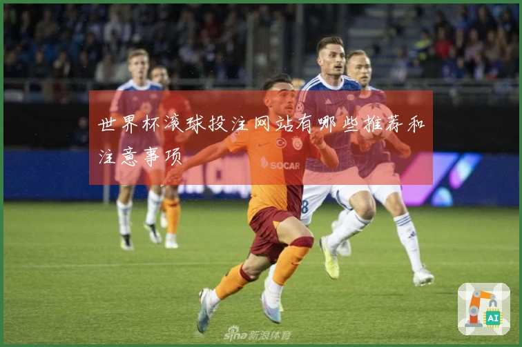 世界杯滚球投注网站有哪些推荐和注意事项