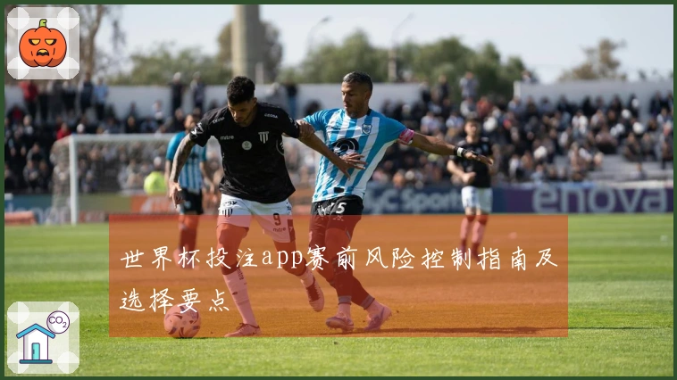 世界杯投注app赛前风险控制指南及选择要点