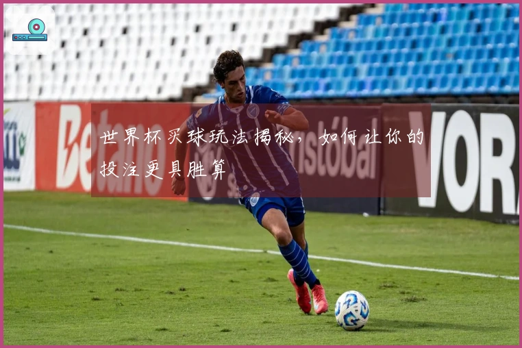 世界杯买球玩法揭秘，如何让你的投注更具胜算