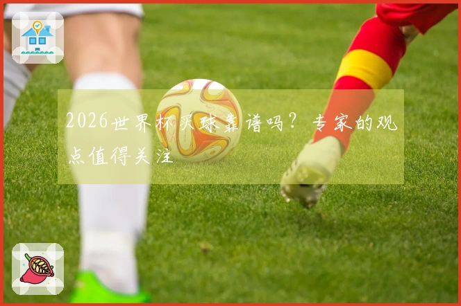 2026世界杯买球靠谱吗？专家的观点值得关注