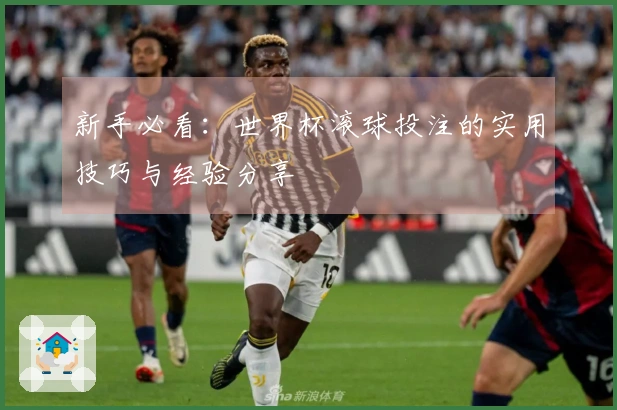 新手必看：世界杯滚球投注的实用技巧与经验分享