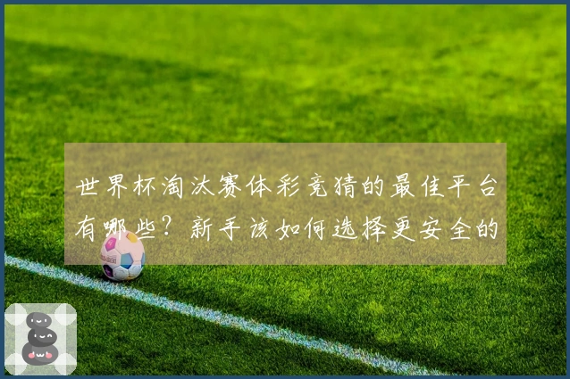 世界杯淘汰赛体彩竞猜的最佳平台有哪些？新手该如何选择更安全的下注方式？