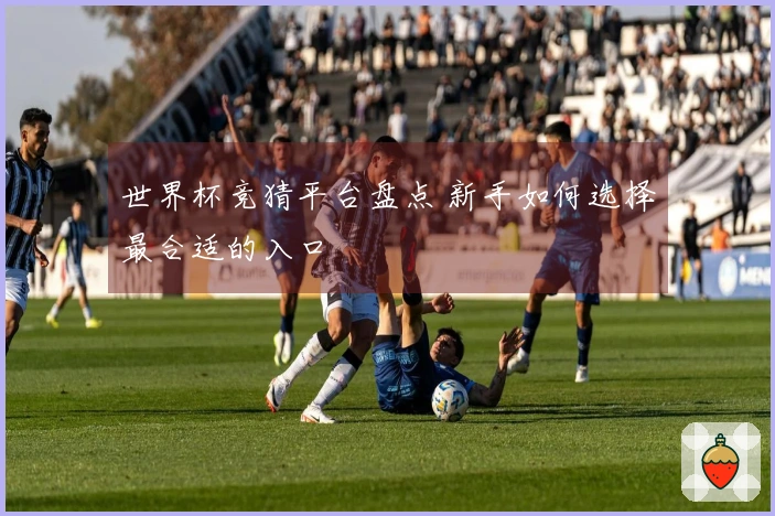 世界杯竞猜平台盘点 新手如何选择最合适的入口